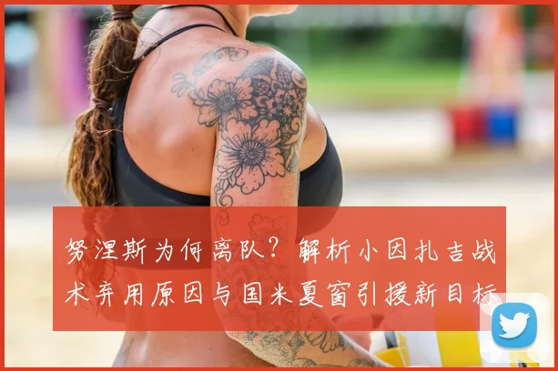 努涅斯为何离队？解析小因扎吉战术弃用原因与国米夏窗引援新目标
