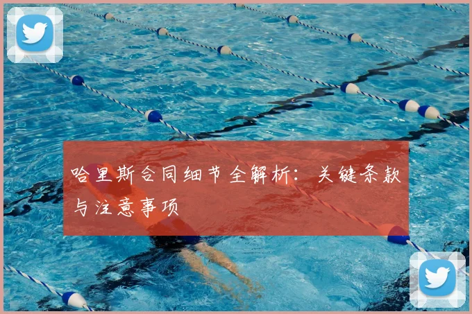 哈里斯合同细节全解析：关键条款与注意事项